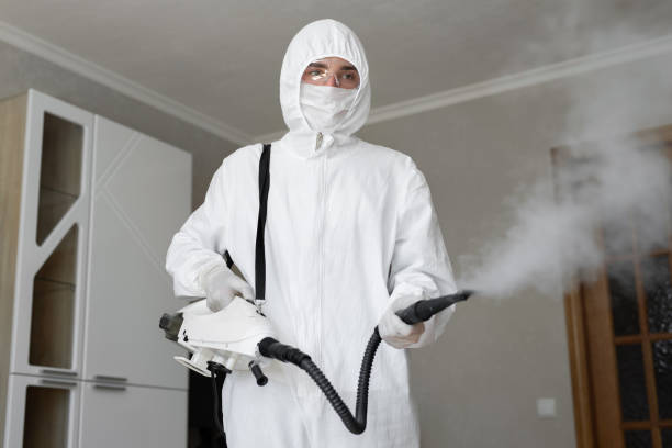 Mold Odor Removal Services in State Center, IA